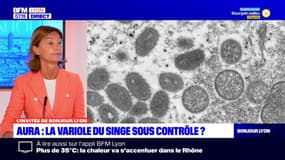 Variole du singe: Anne-Sophie Ronnaux-Baron de l'ARS Auvergne-Rhône-Alpes affirme que "la situation n'est pas préoccupante"