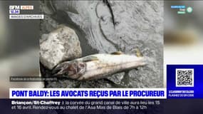 Poissons morts au pont Baldy: le procureur reçoit les avocats et parties civiles