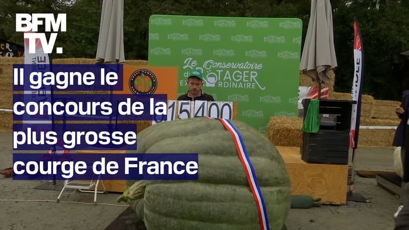 Le plus gros légume de France est une courge et elle fait 615 kilos