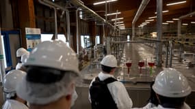 Le site de production de terres rares du groupe Solvay, à La Rochelle, dans le sud-ouest de la France, le 10 décembre 2025.