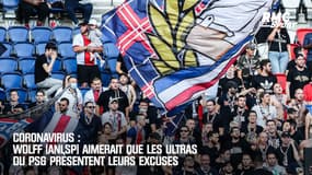 Coronavirus : Wolff (ANLSP) aimerait que les ultras du PSG présentent leurs excuses