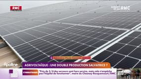 Agrivoltaïque: une double production salvatrice? 