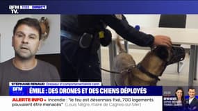 Chiens déployés à la recherche d'Émile: "Ces chiens vont permettre de retrouver des traces de sang, des ossements ou un corps", explique Stéphane Renaud (dresseur canin)