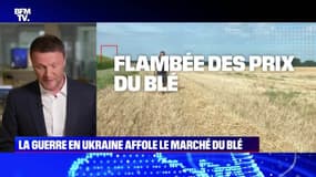 La guerre en Ukraine affole le marché du blé - 13/03