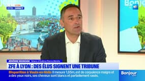 ZFE à Lyon: une soixantaine d'élus signent une tribune avant le retour du projet de loi au parlement