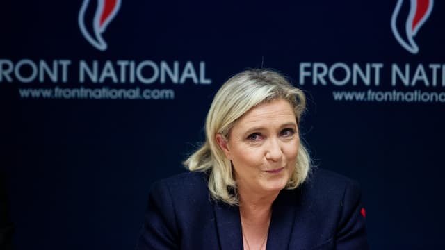 Marine Le Pen, le 20 novembre 2015.