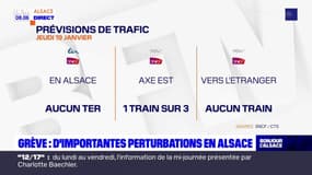 Grève: d'importantes perturbations en Alsace