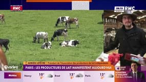 Paris : les producteurs de lait manifestent à Paris
