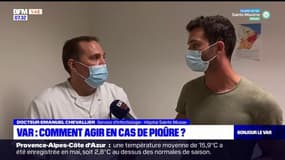 Var: comment agir en cas de piqûre?