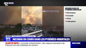 Incendie dans les Pyrénées-Orientales: "On a vu des énormes flammes, des explosions de gaz", témoigne ce gérant d'hôtel