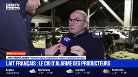 Les producteurs laitiers français appellent les consommateurs "à regarder les étiquettes" pour soutenir la filière face à la concurrence