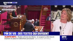Story 3 : Fin de vie, un projet de loi utile ? - 12/05