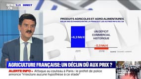 L'agriculture a longtemps été le fleuron du commerce français : comment expliquer le déclin du secteur? 