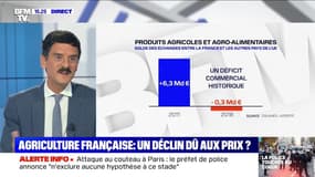 L'agriculture a longtemps été le fleuron du commerce français : comment expliquer le déclin du secteur? 