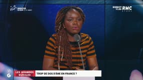 Trop de dos d'âne en France ? - 03/09