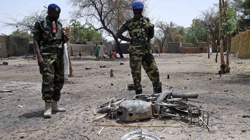 Des soldats tchadiens lors d'une opération près du lac Tchad (février 2015, illustration)