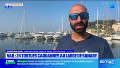 JT du Sud du mercredi 11 juin