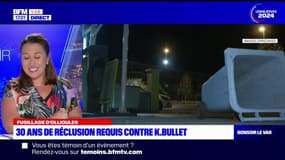 Bandol: attention aux méduses en mer