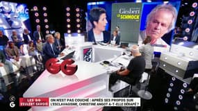 Propos polémiques de Christine Angot sur l'esclavage: "On est dans la méconnaissance historique totale"