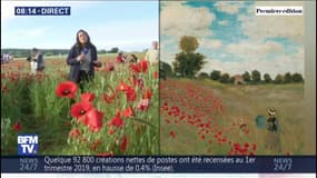 Ces cueilleurs de coquelicots en font... des bonbons