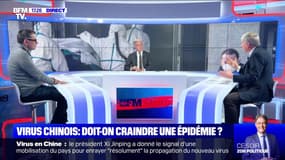 Story 2 : Virus chinois, doit-on craindre une épidémie ? - 20/01