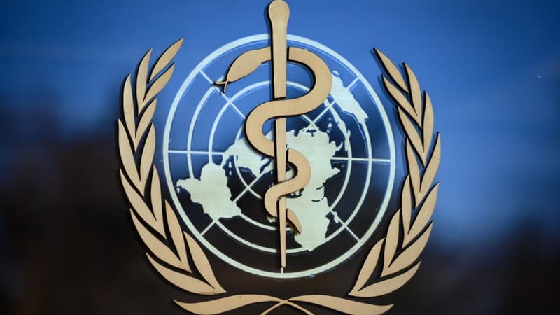 L'Organisation mondiale de la Santé (OMS)