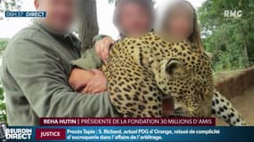Photos polémiques de safari: les gérants du super U auraient payé 50.000 euros pour plusieurs voyages en Afrique