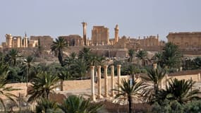 La cité antique de Palmyre en Syrie le 18 mai 2015.