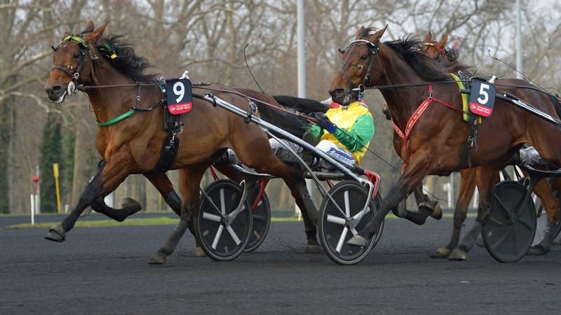 Face Time Bourbon est notre favori pour le Prix d'Amérique 2021