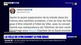 Lyon: la ville bannit le foie gras pour les réceptions officielles