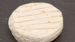 Un fromage de chèvre "pélardon" (image d'illustration).