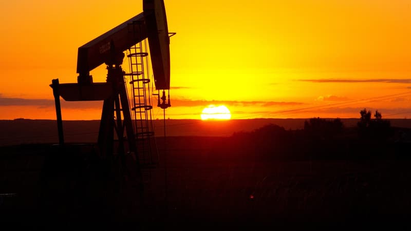 La chute des prix du pétrole pèse sur l'économie des monarchies du Golfe.