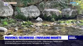 Sécheresse: l'état de l'Huveaune inquiète, 8km du fleuve à sec