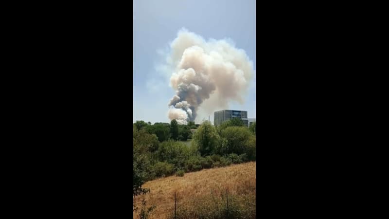 DIRECT. Incendies en France: deux sapeurs-pompiers morts en Gironde, Emmanuel Macron adresse ses condoléances aux familles