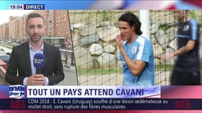France-Uruguay : Les nouvelles sont plutôt rassurantes pour Edinson Cavani : pas de déchirure !