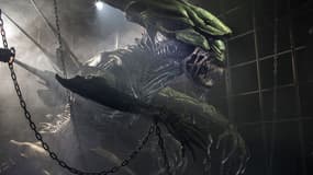 Les xénomorphes, plus connus sous le nom d'"Aliens", vont faire leur retour au cinéma, avec un cinquième épisode réalisé par le Sud-Africain Neill Blomkamp.