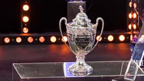 Le trophée de la Coupe de France