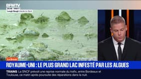 Le break du 15 septembre