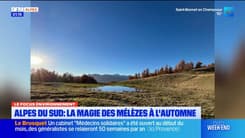 Sur nos sentiers : les meilleurs spots pour admirer les mélèzes des Alpes du Sud