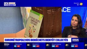 Eurométropole de Strasbourg: les biodéchets bientôt collectés