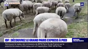 Île-de-France: un tour piéton du Grand Paris pour découvrir les espaces naturels et agricoles