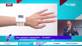 On n'arrête pas le progrès : Une montre connectée... vivante - 03/07