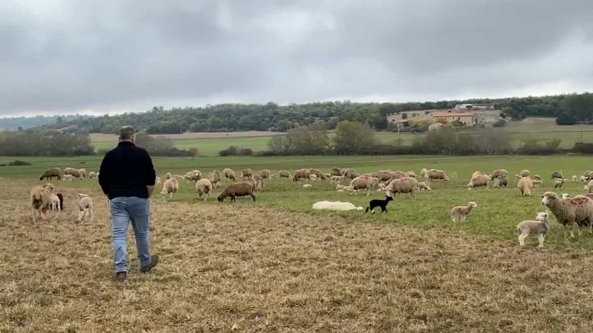 placeholder video