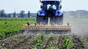 Monsanto emploie plus de 500 personnes en France.