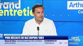 Arthur Portier (Argus Media) : Pire récolte de blé depuis 1983 - 07/08