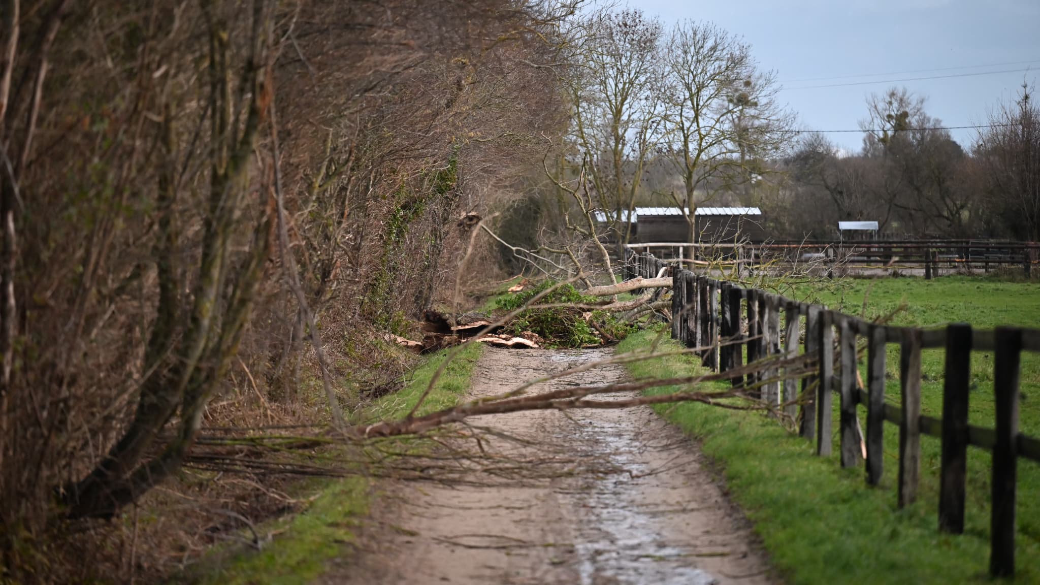 Une route est bloquée par des arbres tombés après la tempête Goretti près de Sainte-Marie-du-Mont, dans la Manche, le 9 janvier 2026. Une route est bloquée par des arbres tombés après la tempête Goretti près de Sainte-Marie-du-Mont, dans la Manche, le 9 janvier 2026.