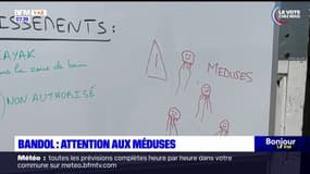 Sur les plages de Bandol, les méduses sont de retour