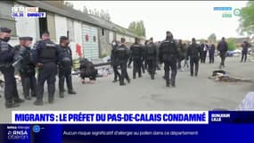 Migrants: le préfet du Pas-de-Calais condamné
