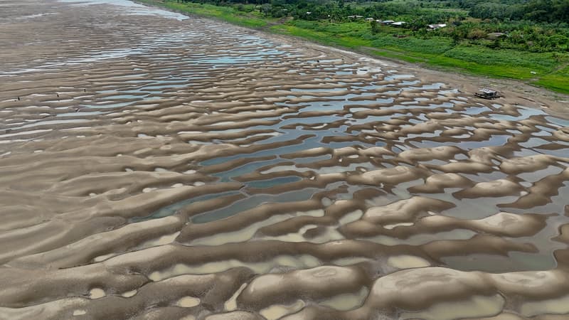 Les cours d'eau de la planète ont atteint en 2023 un niveau de sécheresse jamais atteint depuis 33 ans