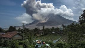 Le volcan Sinabung en éruption, le 3 juin 2015.